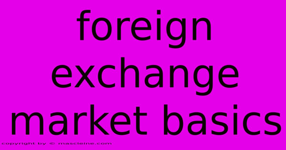 Foreign Exchange Market Basics