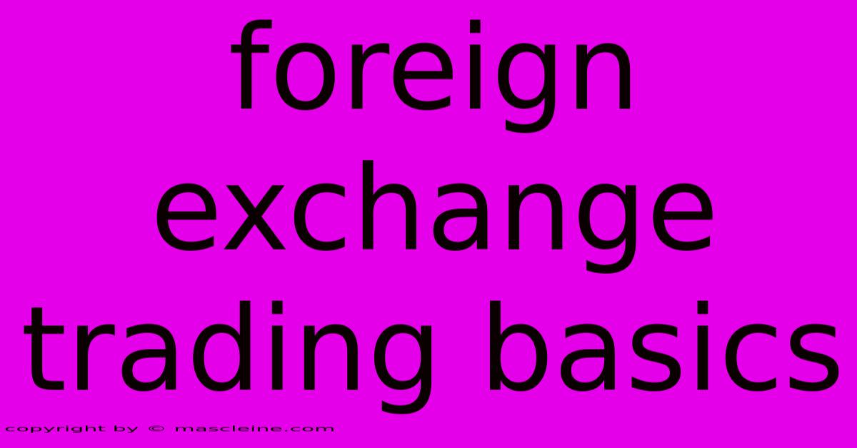 Foreign Exchange Trading Basics