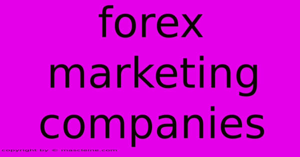 Forex Marketing Companies