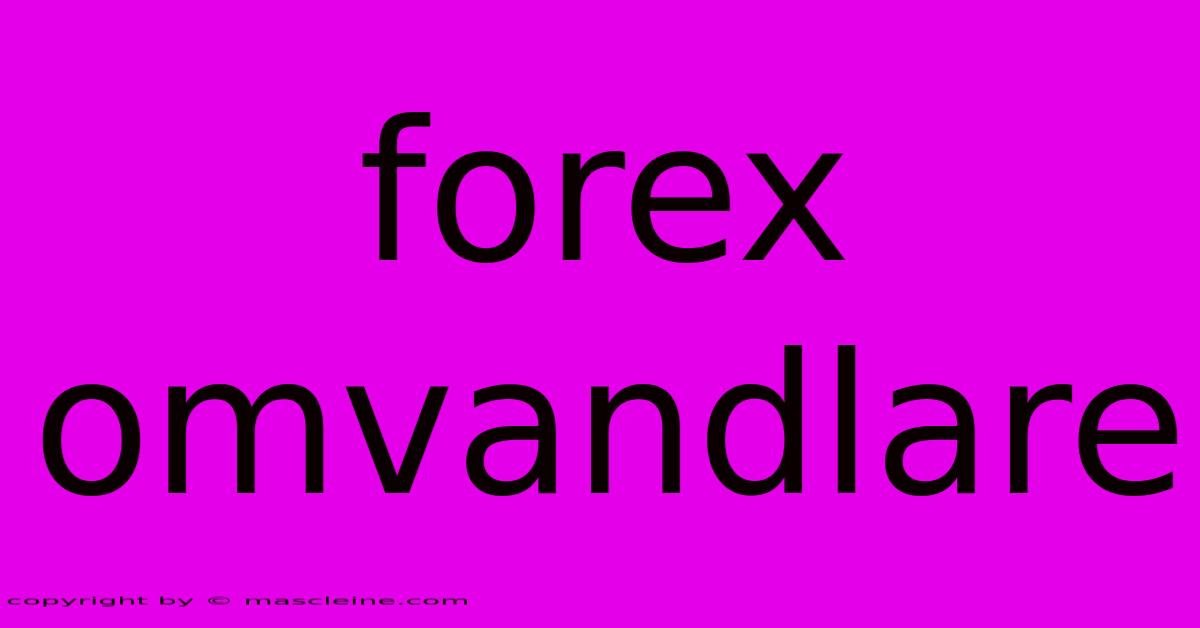 Forex Omvandlare