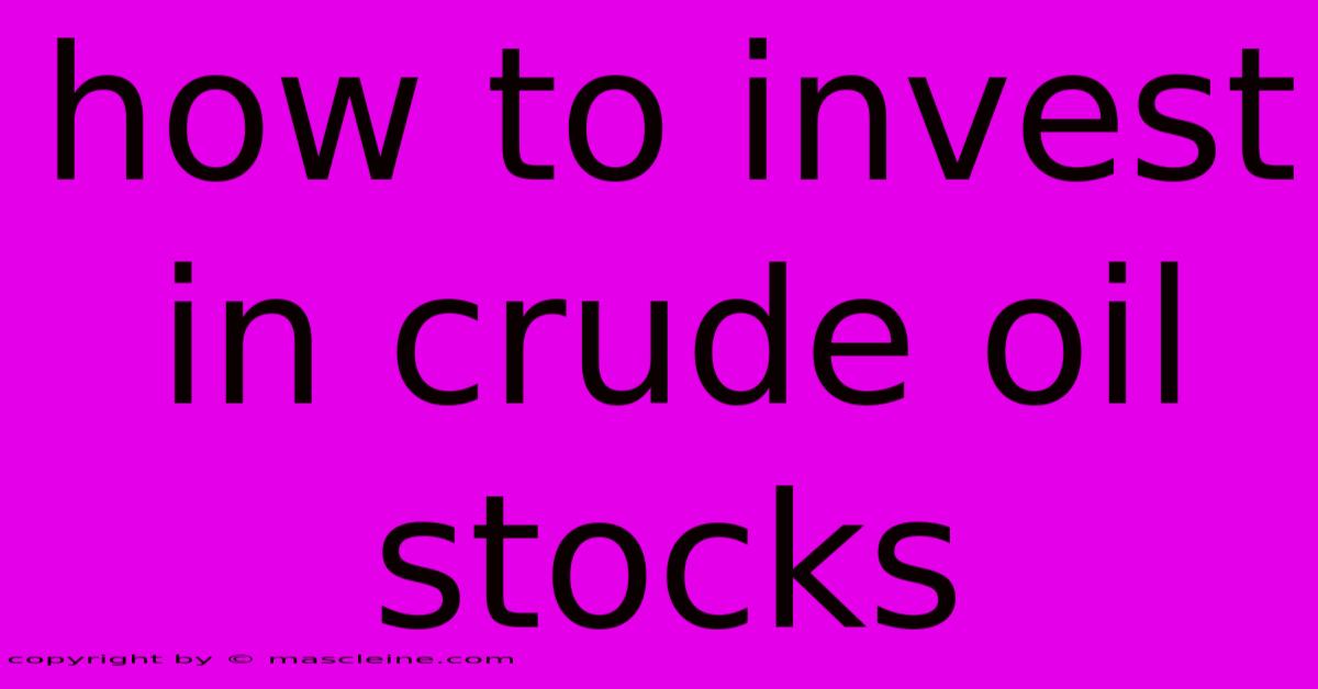 How To Invest In Crude Oil Stocks