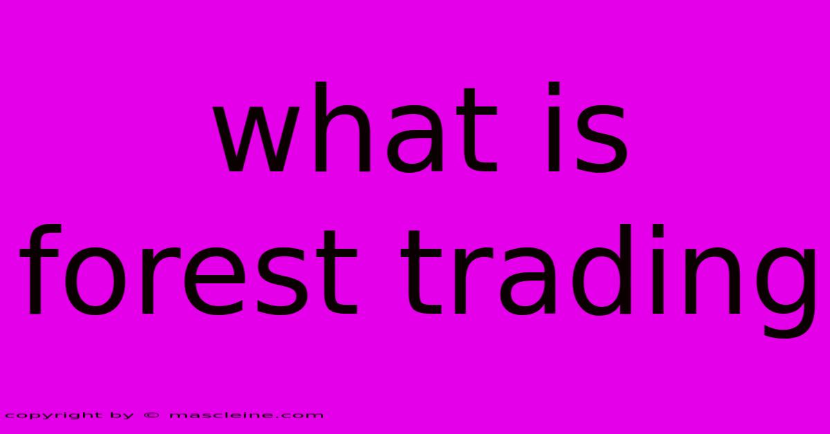 What Is Forest Trading